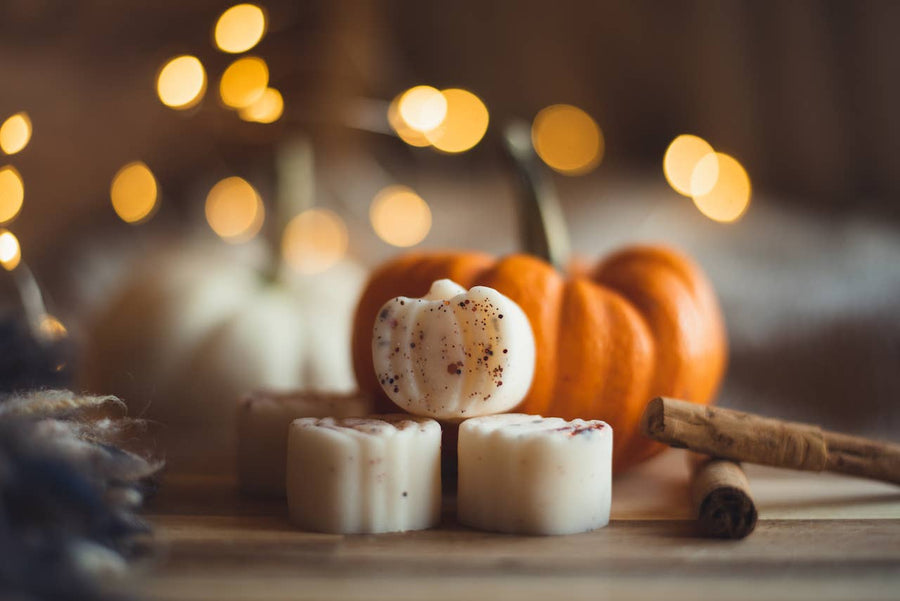 Cinnamon Buns Pumpkin Patch / Autumn Soy Wax Melts Fall