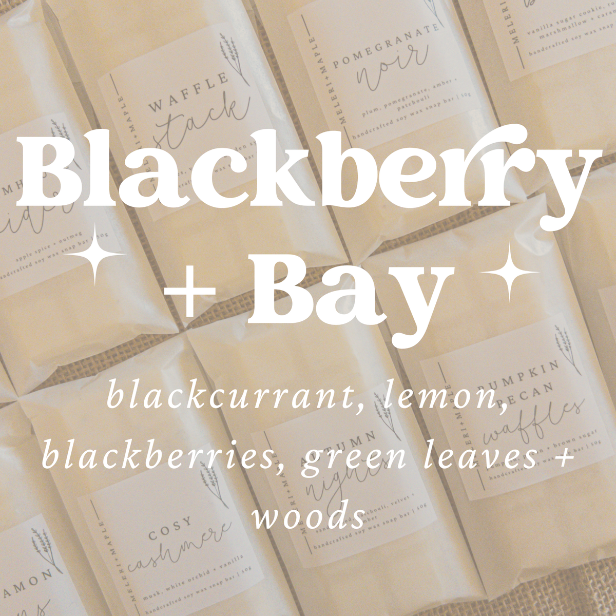 Blackberry + Bay Scented Snap Bar Wax Melt